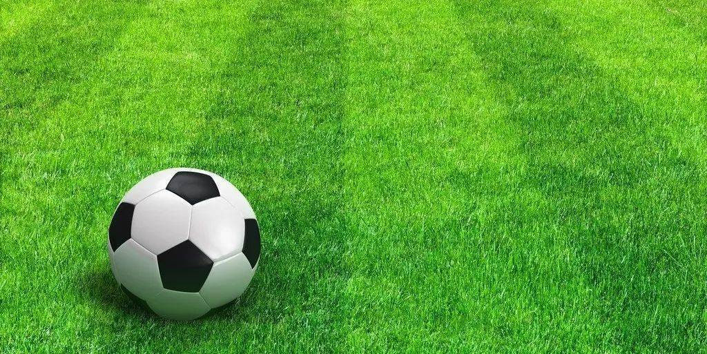 竞彩足球比分免费预测平台界面展示