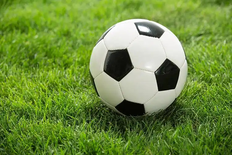 竞彩足球数据分析报告